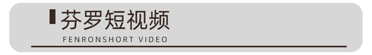 芬罗短视频.png